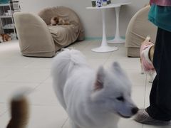 -怪兽屋·羊驼·猫咖·狗咖(俊华广场店)