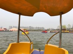 -上海长兴岛郊野公园