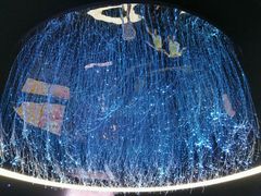 -中影星美国际影城(万家丽店)