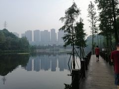 -重庆彩云湖湿地公园