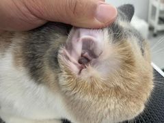 -comecome来吧宠物(奥克斯中心店)