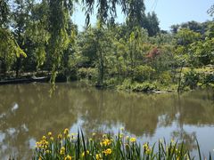 -采石矶景区