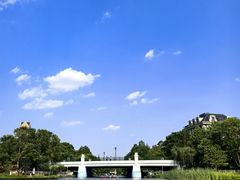 -新江湾城公园