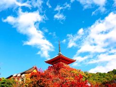 -有栖山 清光院 清水寺