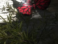 -蜜桃餐厅·江浙融合菜(荟聚购物中心店)