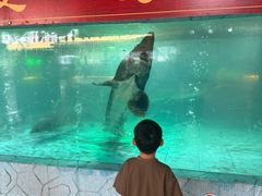 -年辉渔村·非遗传承餐厅(新丰江店)