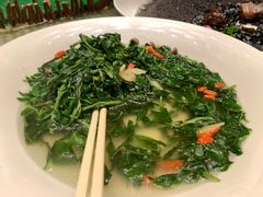 枸杞叶-香宫中餐厅 · 桂林香格里拉