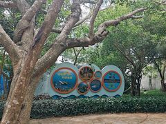 -广东惠东海龟国家级自然保护区