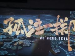 -枫花园汽车电影院(朝阳公园店)