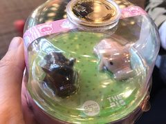 -85度C(广州石牌桥店)