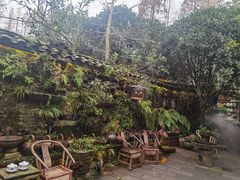 -青城甲(青城山店)