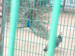 -羊亭河湿地公园