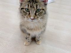 -1013 PET SHOP 宠物商店(近铁城市广场店)