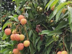 -桃花涧