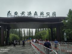 -黄海国家森林公园