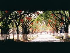 -厦门大学(思明校区)