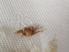 -小柒家第一锹东北菜(城关店)