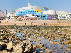 -海合安青岛极地海洋公园