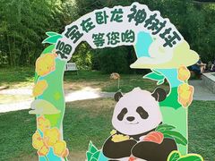 -卧龙中华大熊猫苑神树坪基地