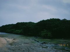 -霞山观海长廊