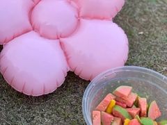 -盘龙城国家考古遗址公园