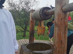 -北药泉