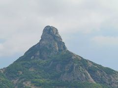 -花岙岛