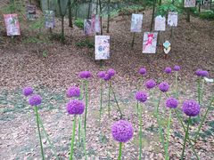 -上海佘山国家森林公园天马山园