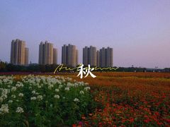 -映月湖中央公园