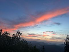 -长虫山生态公园风景林