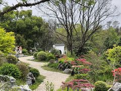 -东湖落雁景区