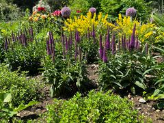 -国家植物园南园