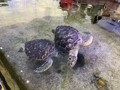 -鸿通城购物中心