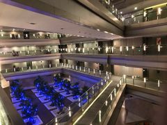 -南京禄口机场雅高铂尔曼大酒店