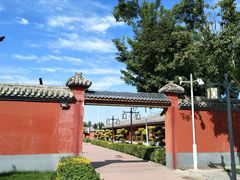 -药王庙(安国市)