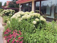 -意大利农场度假村