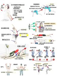 -一伽瑜伽·普拉提