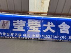-中环花鸟鱼虫市场