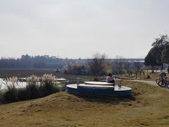 -白鹭湾湿地公园