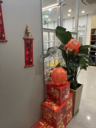 -韩国丽安形象设计