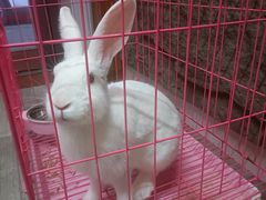 -七甲山烤肉(长白山奇石山珍根艺一条街店)