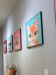 -洗脸猫·洗脸吧