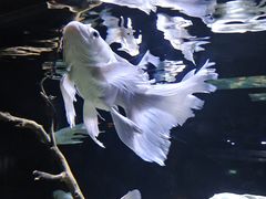 -重庆欢乐海底世界