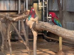 -大连森林动物园