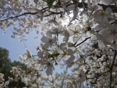 -玄武湖景区-情侣园游乐场