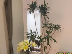 -布梵·台式热敷古法按摩Massage·Spa(品尊国际店)