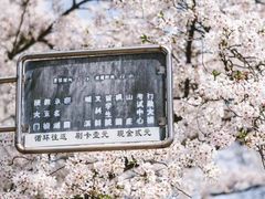 -武汉大学-樱园