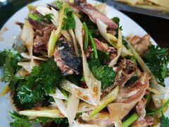 -教师之家赵家羊汤馆(东青龙街店)