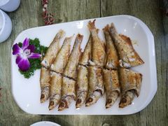-金正源煎鱼馆
