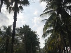 -深圳湾公园(南山区)